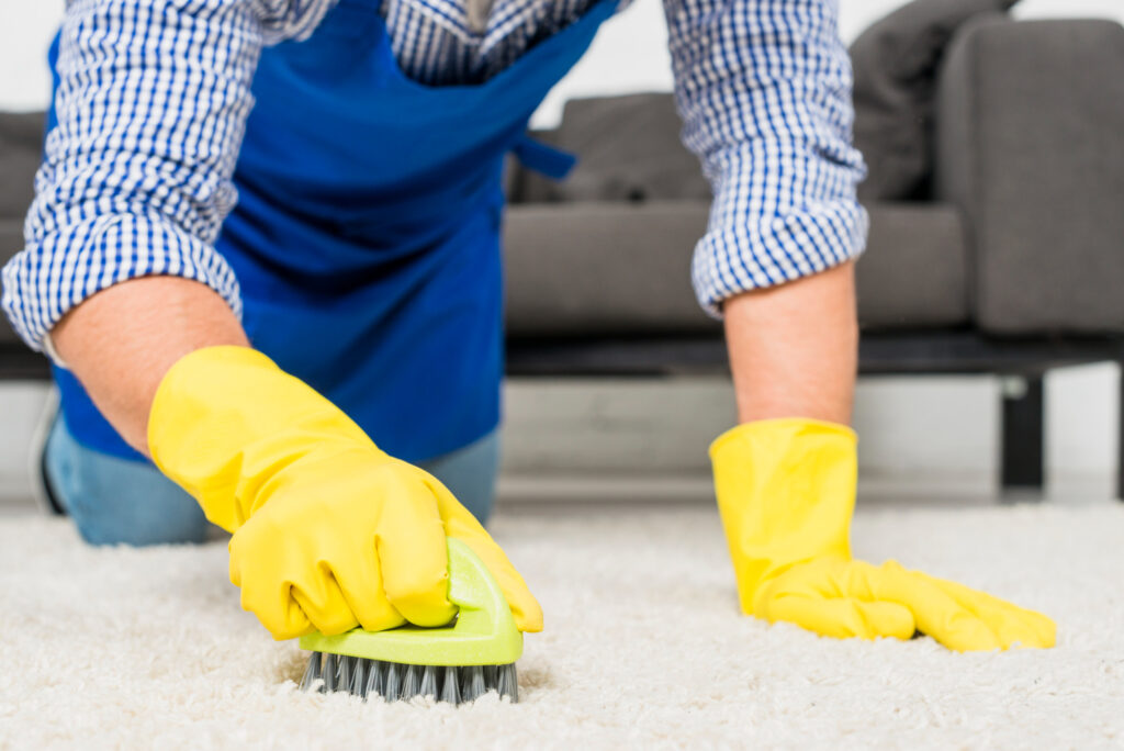 Merrylands - Carpet Cleaning