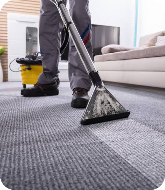 Sydney - Cleaning Team Expert