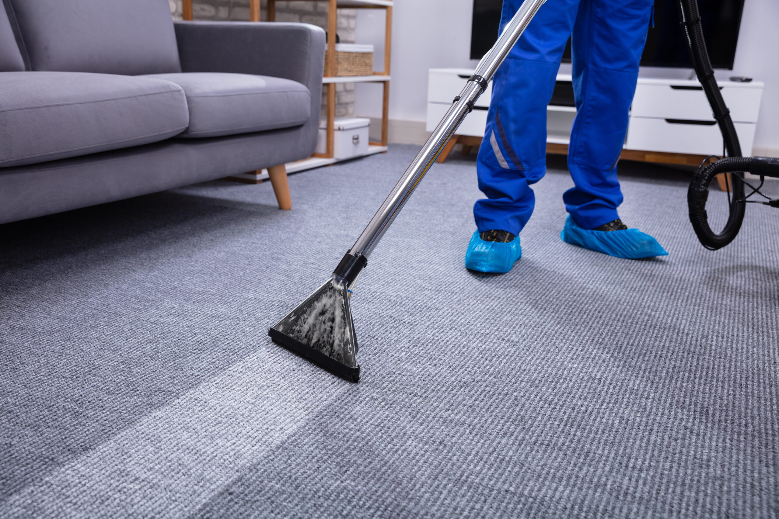 Merrylands - Carpet Cleaning Solution