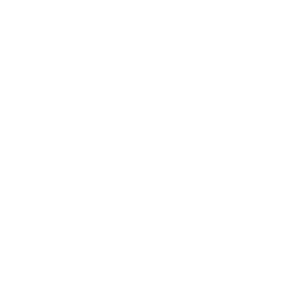 Shield Icon